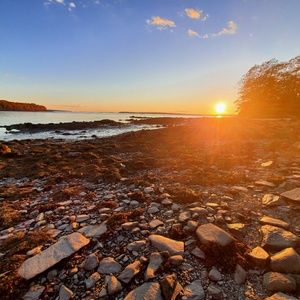 Meet your Posher, Riley